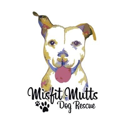Misfit Mutts Fundraiser