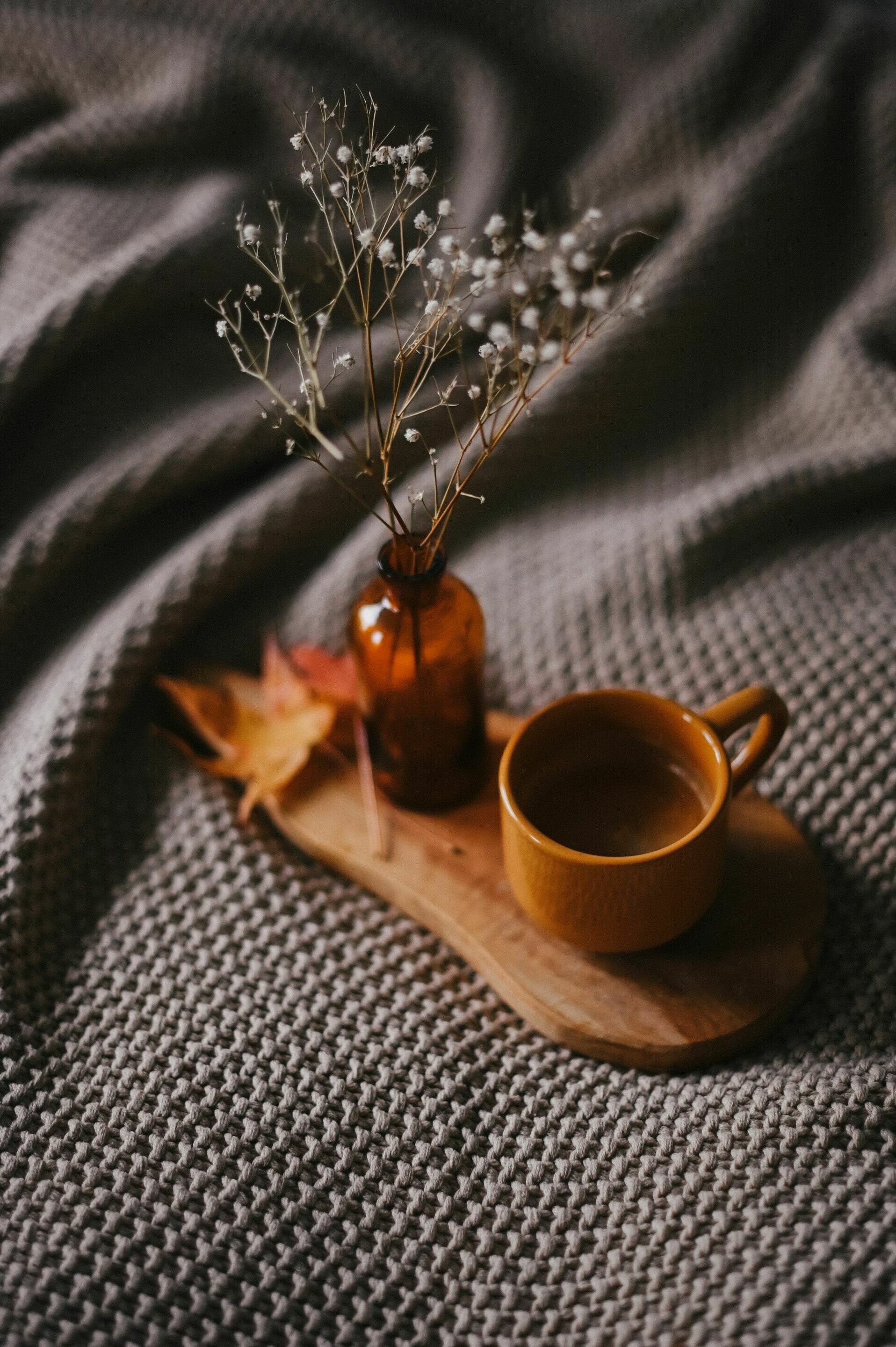 The Rose Gift House and Coffee