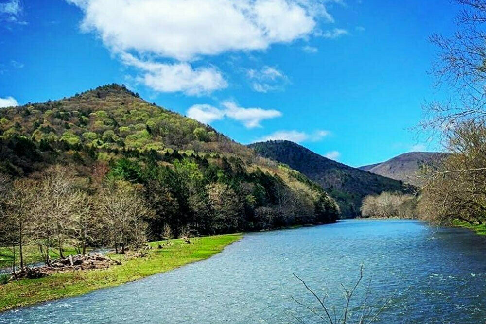 Slate Run Brown Trout Club