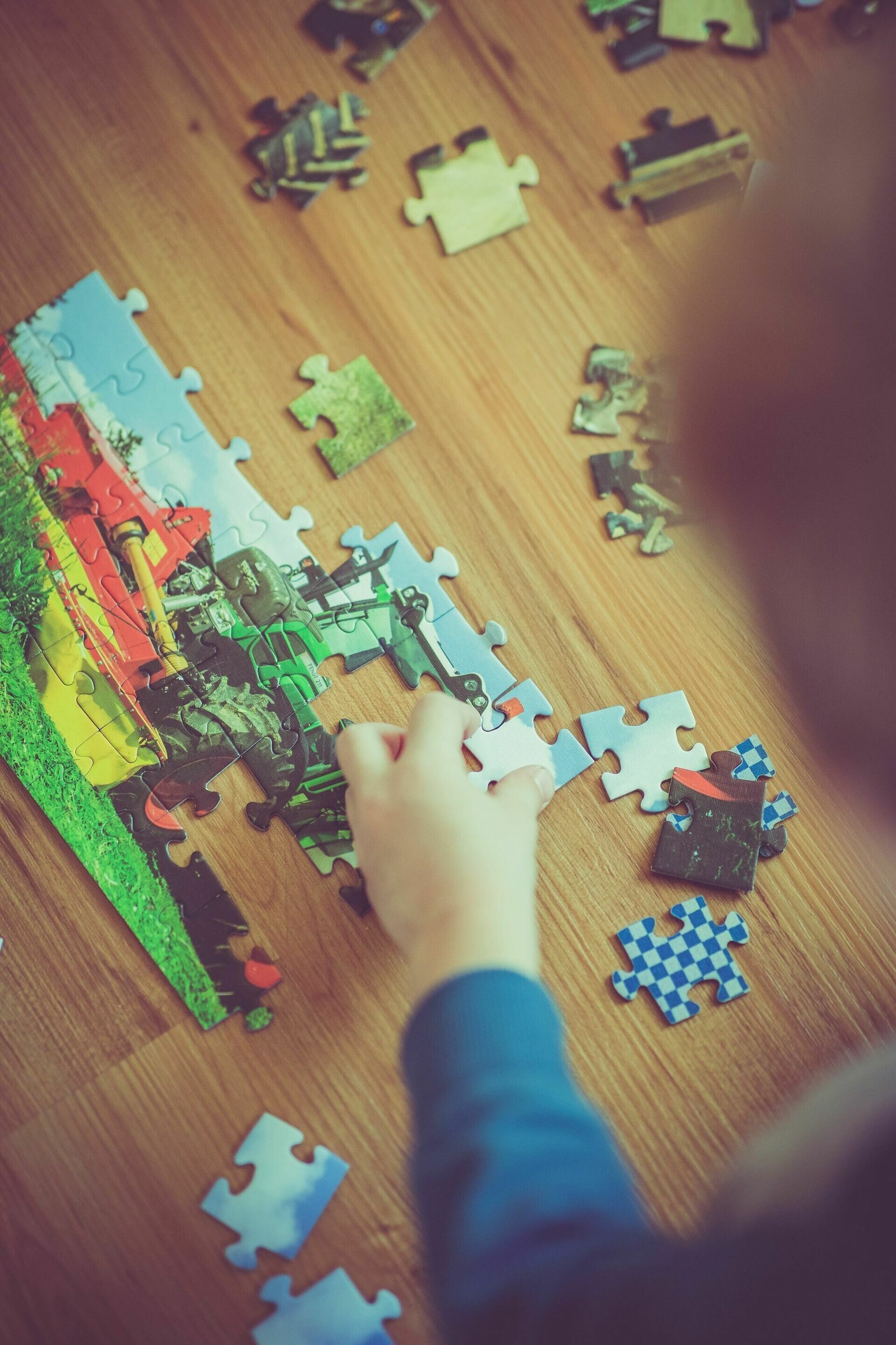Puzzle Palooza Etc