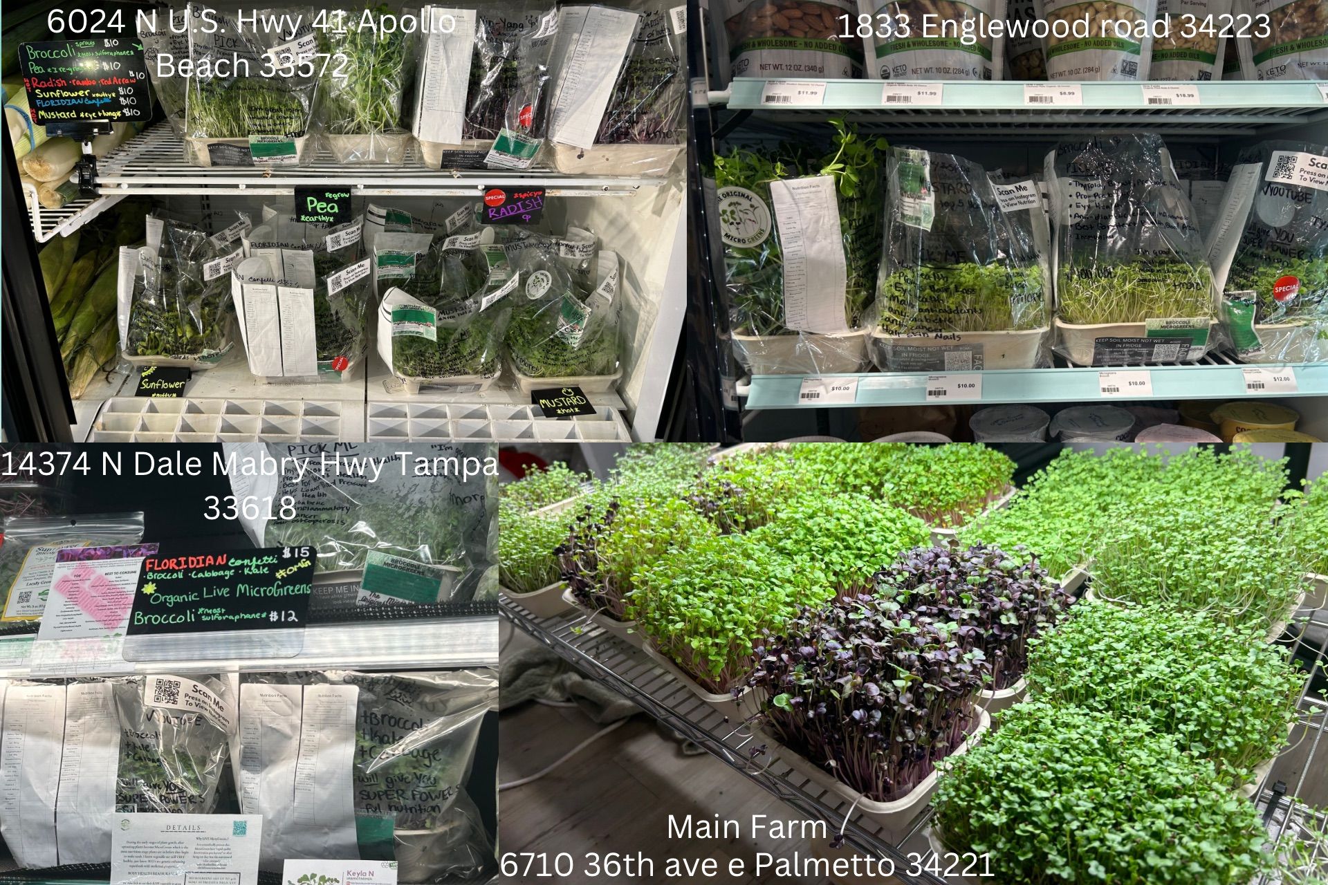 The Original MicroGreens Farm